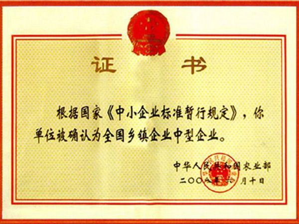 鄉(xiāng)鎮(zhèn)企業(yè)中型企業(yè)認證證書